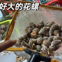 霞湧市場海鮮擺賣市場張用戶圖片
