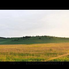 WANG YE FU XIAN YANG SHUAN User Photo