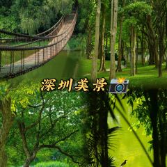 BUFFALO MILK QUEEN SUGAR WATER SHOP User Photo