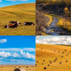 Manda Sheng Yuan Xiang chafing  dish User Photo