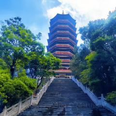 Zhan yi gong shi la zi Chicken (zhan yi) User Photo