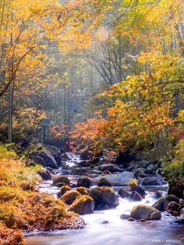 Tianhu Mountain