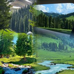 牧羊爷爷·新疆文化菜 User Photo