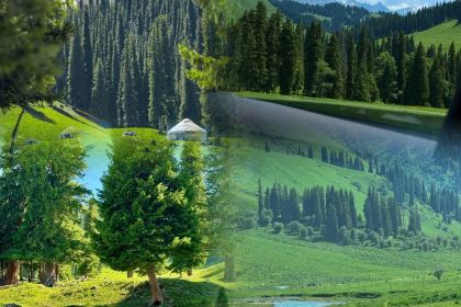 牧羊爷爷·新疆文化菜