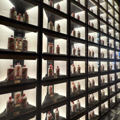 问山海 User Photo