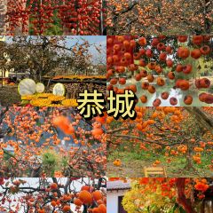 瑶乡饭店 User Photo