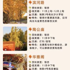 豆夫酥酥臭名远扬臭豆腐(总店) User Photo