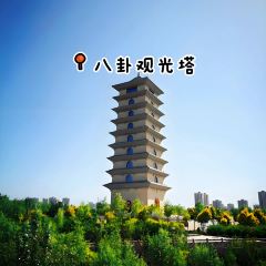 TANG SHAN YANG TE SE LAMB CHOP PULLING FILM User Photo