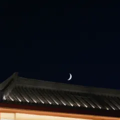 CHANGLUOHOU·BEEF PATTY WITH ALLIUM MONGOLICUM User Photo