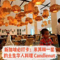 Candlenut User Photo