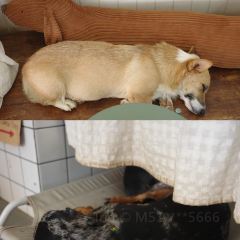 Elely Cafe’ แอลลี่ คาเฟ่張用戶圖片