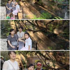 Taa Chang Bangsaen User Photo