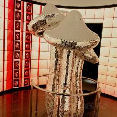 T61 TERMINAL HONGQING User Photo