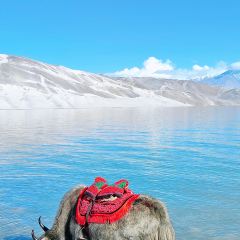 塔漂咖啡馆 User Photo