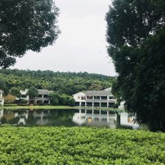 苏州环秀晓筑养生度假村·阅湖轩 User Photo