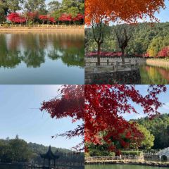 旺山遇见卢浮宫 User Photo