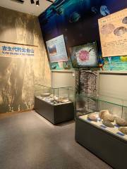 雲台山世界地質公園博物館