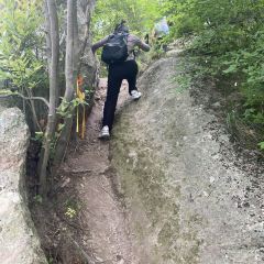前良麦镬 User Photo
