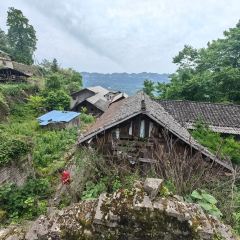 君健農家張用戶圖片