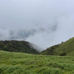狮子口(河洑店) User Photo