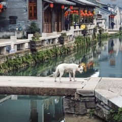 初见东北菜 User Photo
