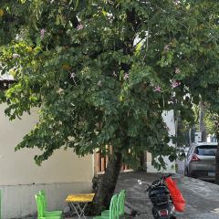 炸了(四小店) User Photo