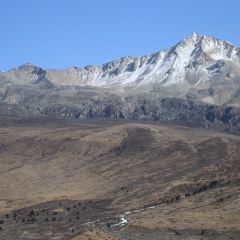 猫屎咖啡(天全服务区店) User Photo