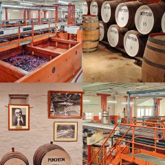 Penfolds Magill Estate Restaurant User Photo