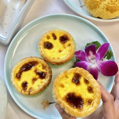 中山顺景花园酒店·领荟 User Photo