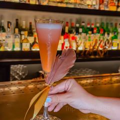 APOTHECARY User Photo