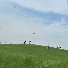 隔壁飯店張用戶圖片