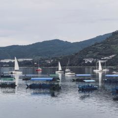 抚仙湖大知闲闲民宿·掌间 User Photo