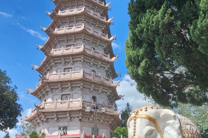 王记老字号糖水(宁江路店)