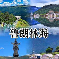 鲁朗石锅城·松茸天麻石锅鸡 User Photo