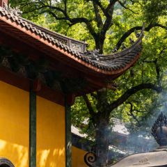 荣村农家乐 User Photo