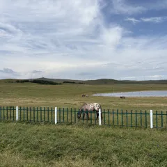 塞伊德蒙餐(兴安南路店) User Photo