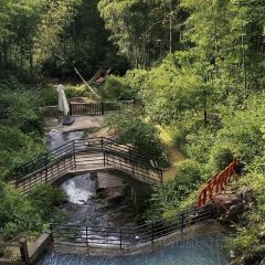 YUNYA COFFEE User Photo