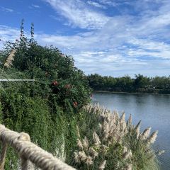 云孚里云宿.西湖云岛·餐厅 User Photo