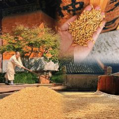 土灶头·天台味道(劳动路店) User Photo