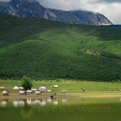 丽江飞鸟民谣酒吧(束河店) 여행 사진