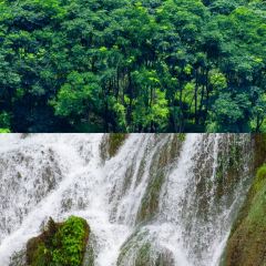 Dan's Crispy Duck User Photo