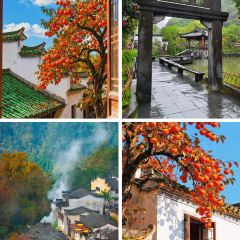 樊老头樊氏牛骨粉(婺源书乡路店) User Photo