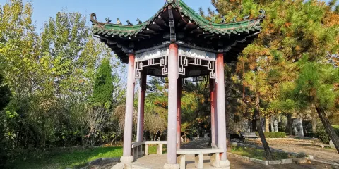 蓮花山公園