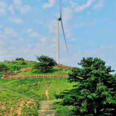 三七砂锅 User Photo