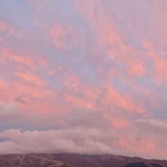 艾沙江达吾提烤包子(新友好美食街店) User Photo