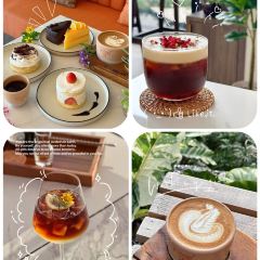 Summore Day User Photo