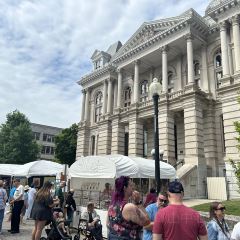 The Black Sparrow 여행 사진