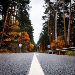 El Pajar Navacerrada 여행 사진