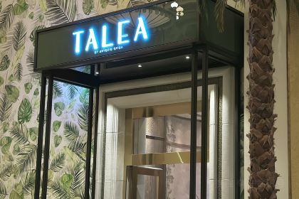 Talea by Antonio Guida