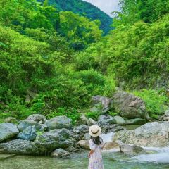 川步烧烤园 User Photo